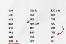 好听的店铺名电商，好听的电商店铺名称