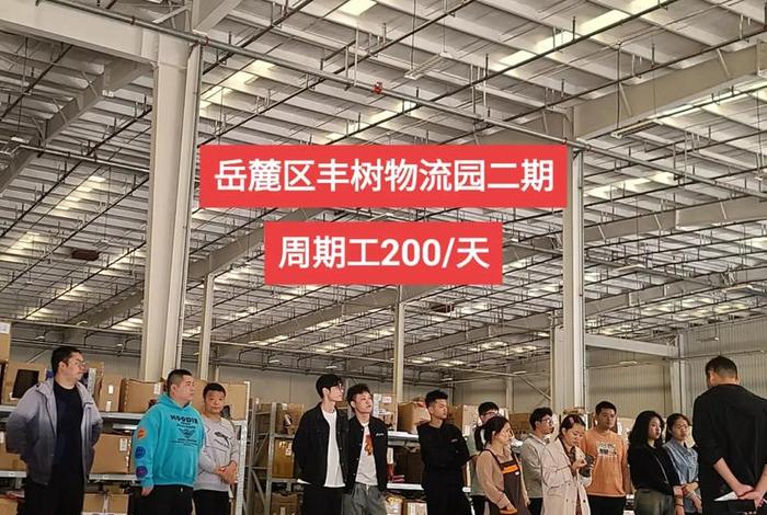 电商拣单员是什么工作内容、电商拣单员是什么工作内容啊