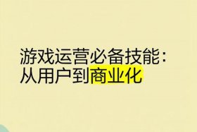游戏电商运营 - 电子游戏运营