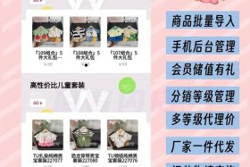 小程序电商带货（小程序电商带货赚钱吗）