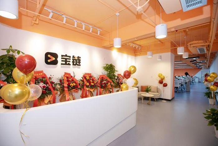 宝链电商怎么样 杭州宝链电子商务有限公司怎么样 宝链电商怎么样 杭州宝链电子商务有限公司怎么样