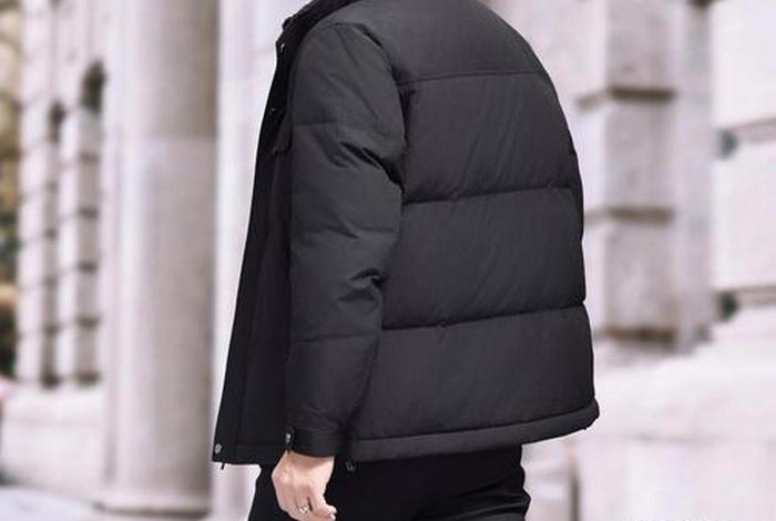 电商式羽绒服是什么意思 电商服装是什么意思