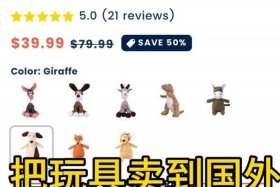 玩具电商怎么入门 玩具电商怎么入门的