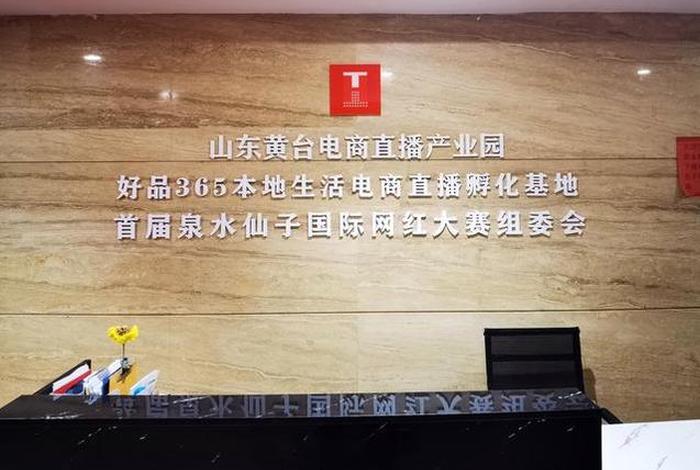 济南电商公司排名，济南电商公司排名榜