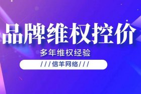 电商控价维权；电商控价专员是做什么的