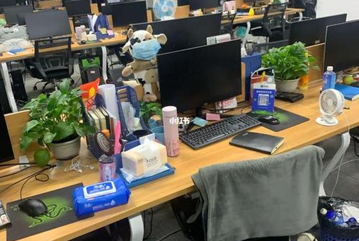 极易电商加班 极易电商加班怎么样 极易电商加班 极易电商加班怎么样