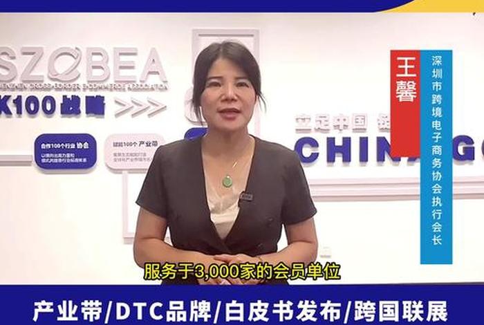 跨境电商协会会长王馨;深圳跨境电商协会会长王馨 跨境电商协会会长王馨;深圳跨境电商协会会长王馨