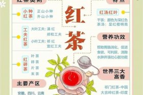 电商主图设计红茶（电商主图设计思路）