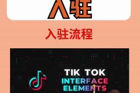 tiktok跨境电商代运营公司 在tiktok可以挂的跨境电商平台有哪些