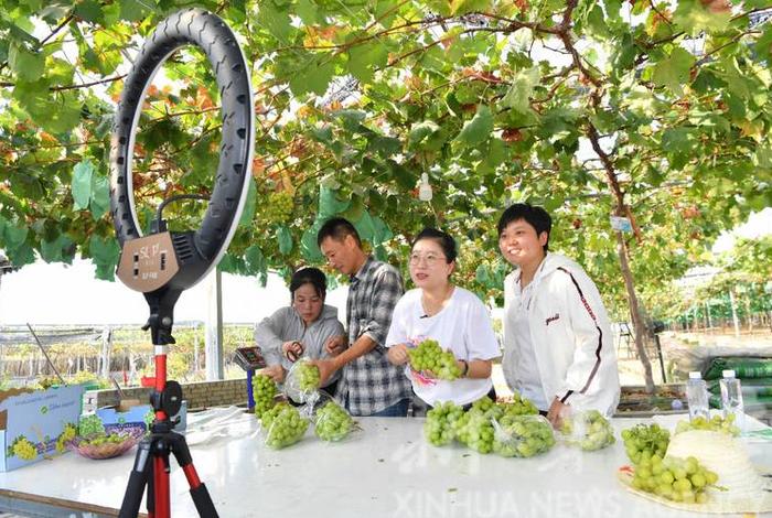 山西电商助农直播专场、电商助农直播带货 山西电商助农直播专场、电商助农直播带货