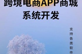 电商商城app - 电商商城app开发