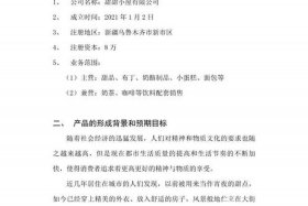 电商公司商业计划书 - 电商公司商业计划书怎么写