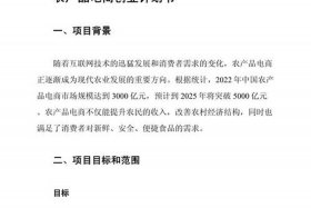 农村电商的创业计划 农村电商的创业计划怎么写