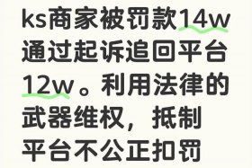 电商官司怎么打 怎么起诉电商公司