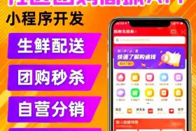 团购电商平台有哪些；团购电商平台有哪些公司