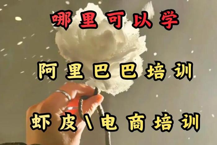 虾皮电商培训机构 - 学虾皮电商,那家培训机构合适