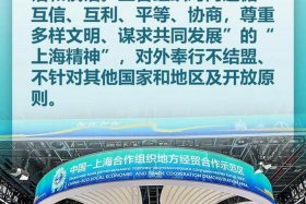 上合组织综合跨境电商服务商，上合组织综合跨境电商服务商是什么