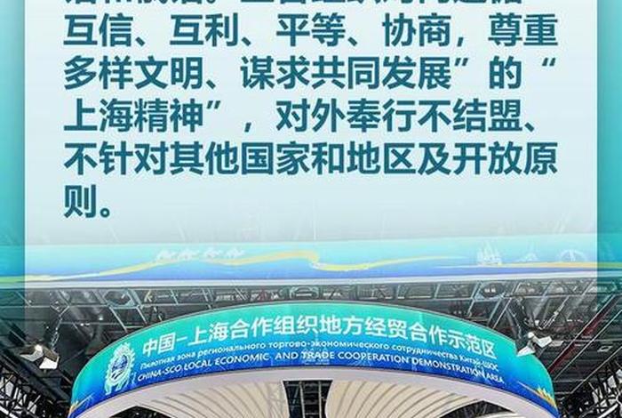 上合组织综合跨境电商服务商，上合组织综合跨境电商服务商是什么