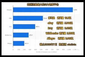 全球最大的电商用户量排名，全球最大的电商用户量排名榜
