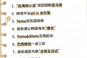 中国跨境电商四小龙、中国跨境电商四小龙是什么