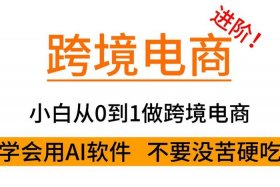 学习做电商ai 电商要学ai吗