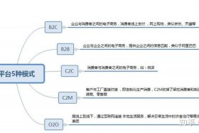 电商平台的盈利模式分析引言 电商平台盈利模式分析