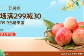 桃子电商平台官网（桃子电商平台官网首页）