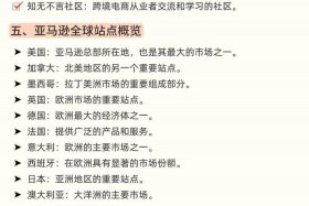 做跨境电商要哪些条件；做跨境电商要哪些条件和要求