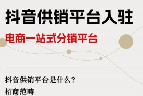 电商分销8天无理由 - 做电商分销的能挣到钱吗