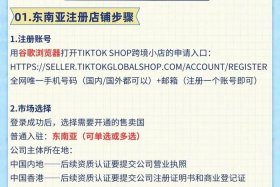 tk跨境电商平台怎么注册做法人也没有风险（tiktok跨境电商怎么做）