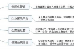 电商平台建设实施方案；电商平台建设实施方案模板