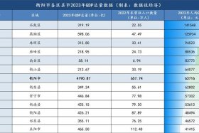 中经电子 - 中经电子在衡阳的员工福利与待遇