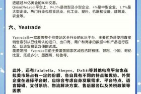 拉美电商翻译，拉美电商翻译成英文