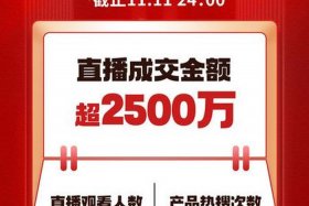电商直播双十一、双十一直播电商业绩