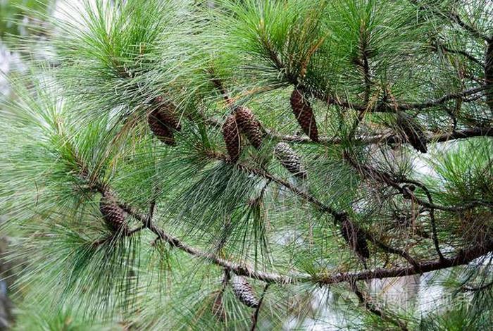 cp电商是什么意思 电商cpn是什么意思 cp电商是什么意思 电商cpn是什么意思