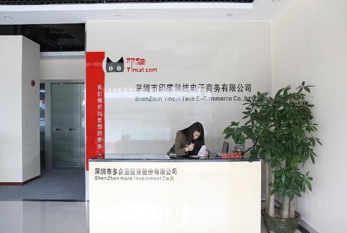 电猫商务公司；电猫商务公司怎么样