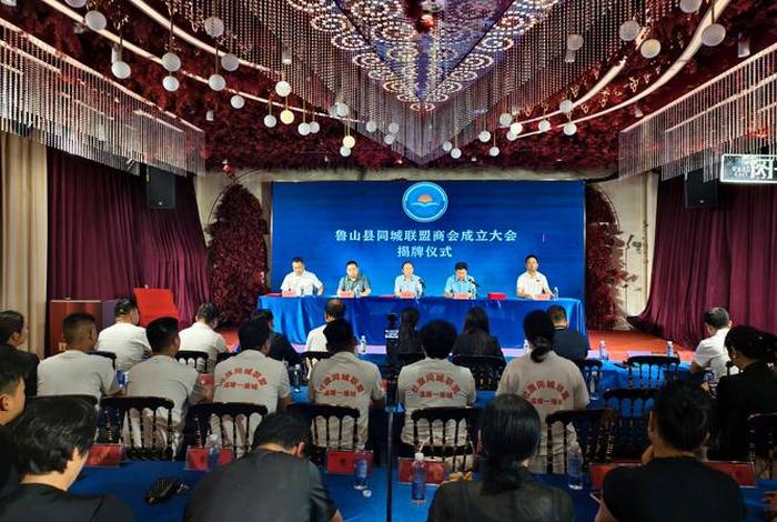 武侯电商产业功能区管委会(武侯电商产业功能区管委会挂牌仪式) 武侯电商产业功能区管委会(武侯电商产业功能区管委会挂牌仪式)