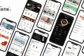 仓电商app 安美安仓电商app