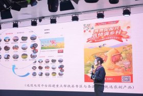 达漫电商平台下载；达漫电商平台下载app