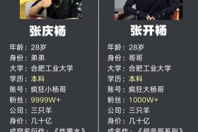 疯狂小杨哥的电商创业历程；疯狂小杨哥做什么的