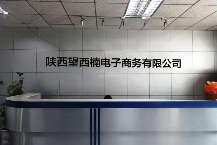 西安电商公司(西安电商公司推荐) 西安电商公司(西安电商公司推荐)