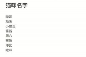 小红书电商平台叫什么名字；小红书电商平台叫什么名字好听