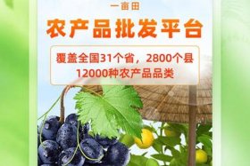 最大农产品批发平台app（中国最大的农产品批发平台app）