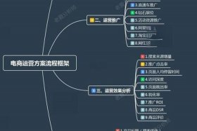 专业电商运营推广、专业电商运营推广方案
