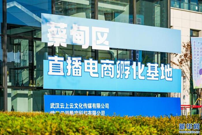 电商孵化基地运营；电商孵化基地运营方案