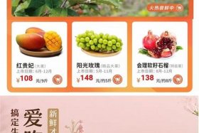 怎么加入电商平台卖农产品，怎么加入电商平台卖农产品,农副产品