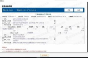 飞鱼电子发票台账 - 飞鱼电子发票台账怎么用