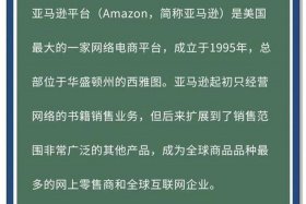 中国亚马逊跨境电商从哪一年开始；亚马逊跨境电商哪年开始的