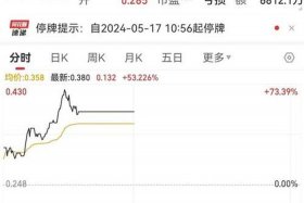 电商平台股票代码 电商平台股票代码是什么