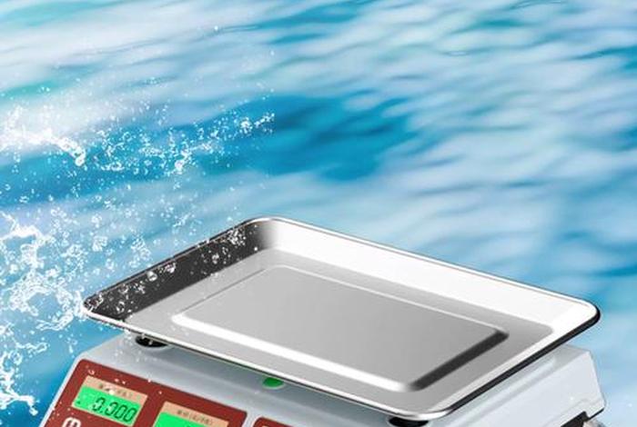 商超电子秤什么牌子好 商超电子秤什么牌子好一点 商超电子秤什么牌子好 商超电子秤什么牌子好一点